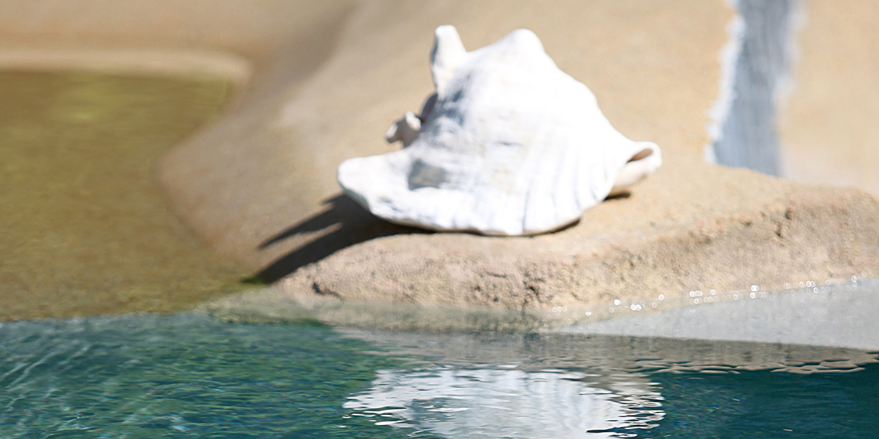 piscine-baignade-des-arts/piscine-baignade-des-arts-14
