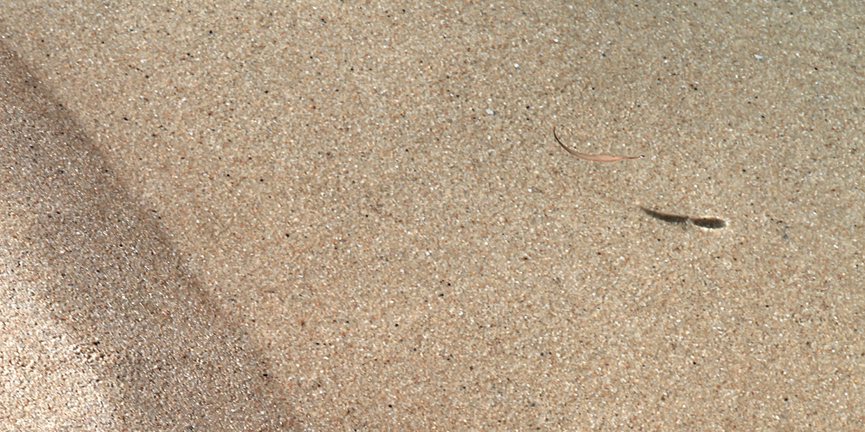 piscine-baignade-des-arts/piscine-baignade-des-arts-16