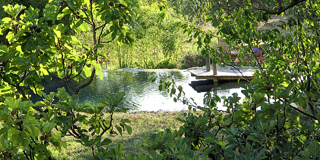 piscine-nature-du-sud/piscine-nature-du-sud-2