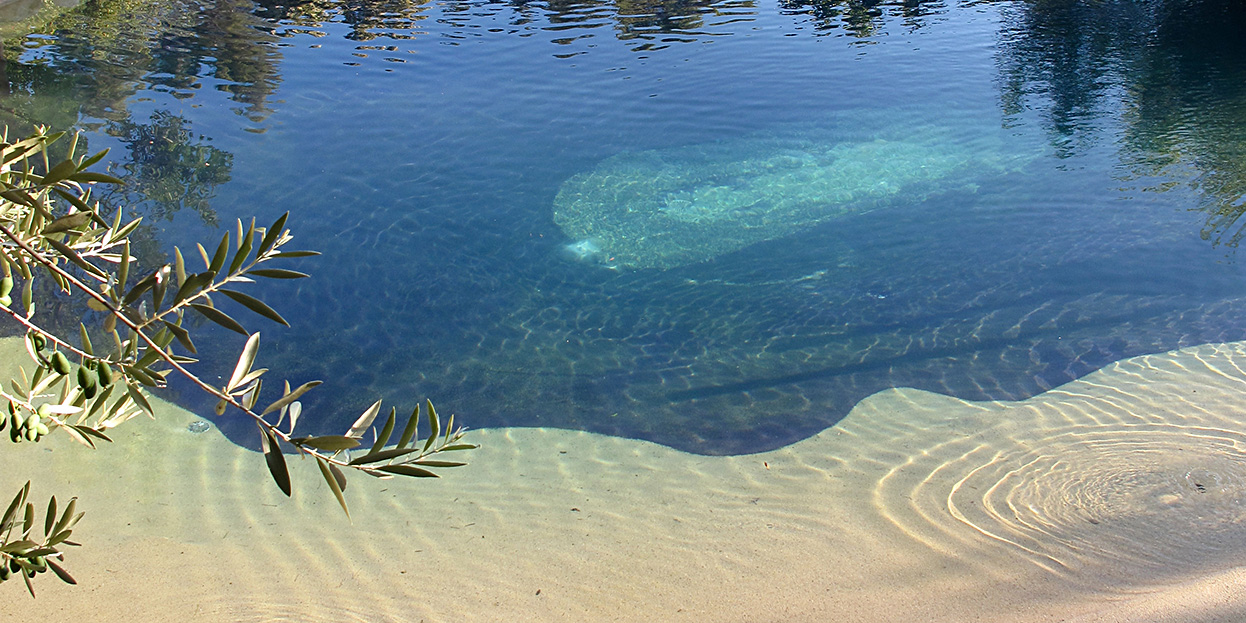 piscine-nature-du-sud/piscine-nature-du-sud-4
