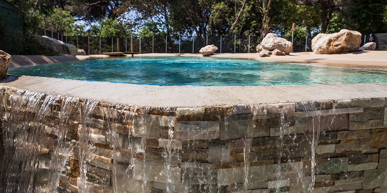 piscine-naturelle-camping-nature-vacances/piscine-naturelle-camping-nature-vacances-14