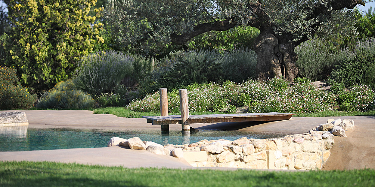 piscine-plan-d-eau-naturel/piscine-plan-d-eau-naturel-12