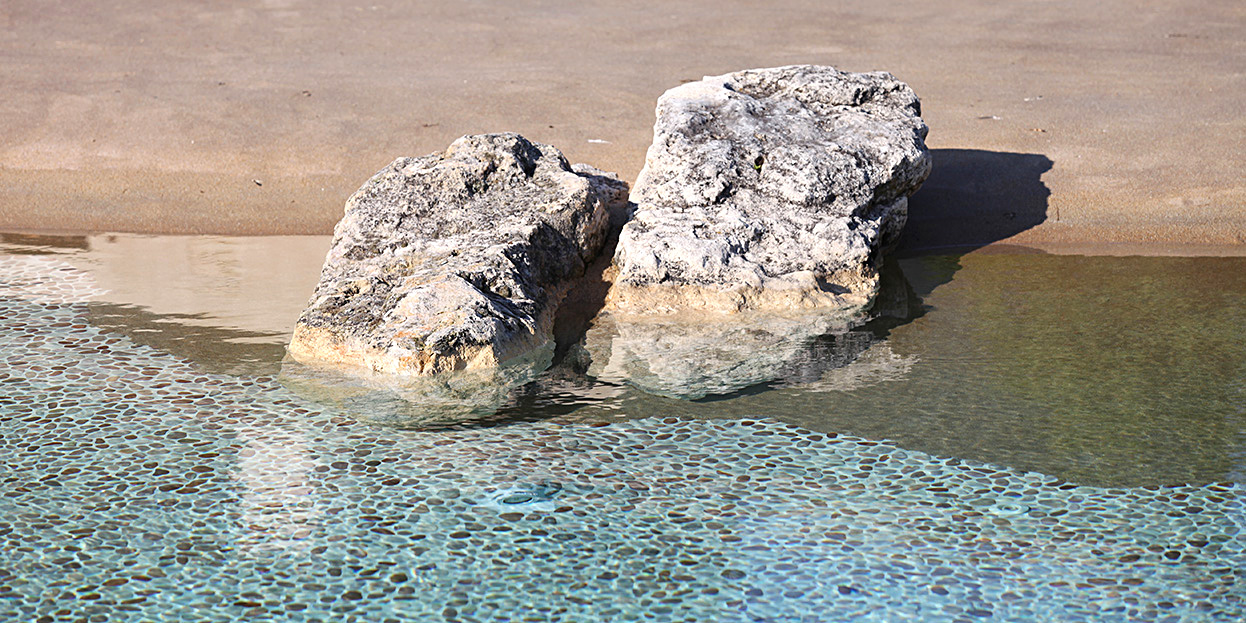 piscine-plan-d-eau-naturel/piscine-plan-d-eau-naturel-14