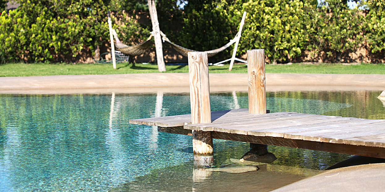 piscine-plan-d-eau-naturel/piscine-plan-d-eau-naturel-16