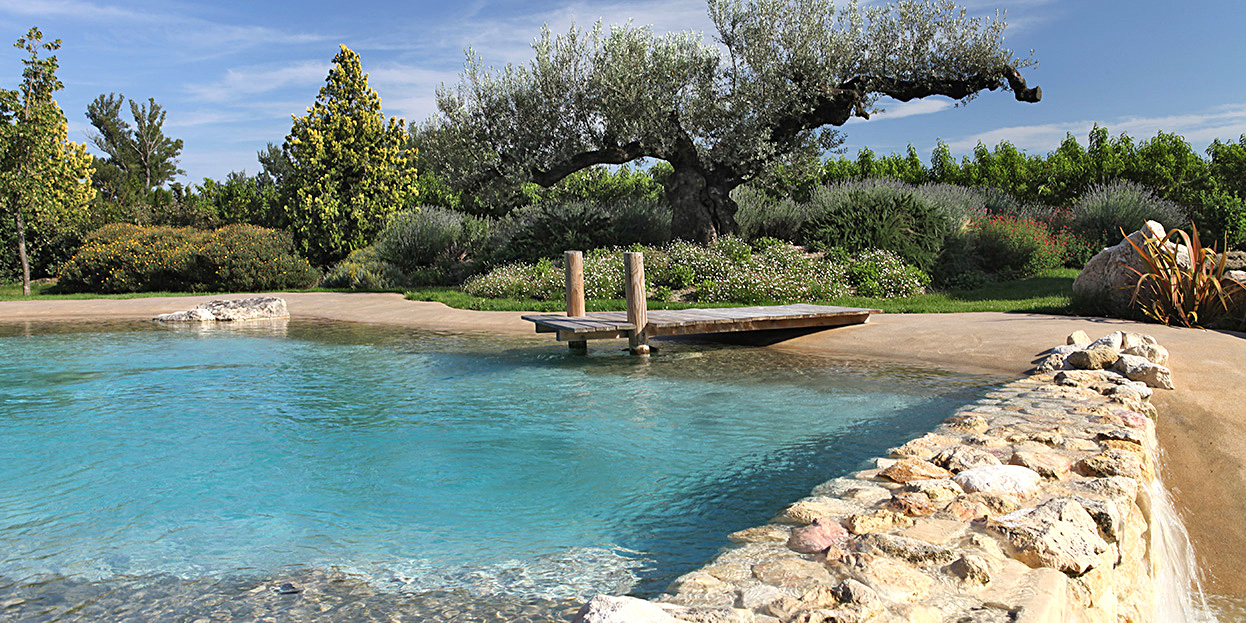 piscine-plan-d-eau-naturel/piscine-plan-d-eau-naturel-4