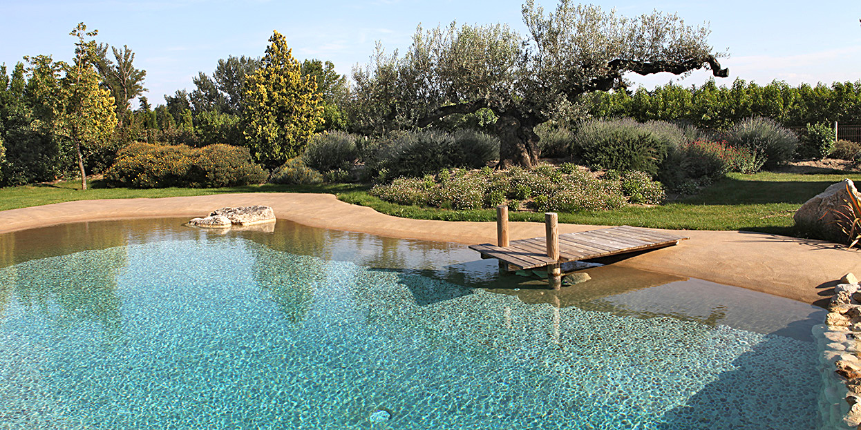 piscine-plan-d-eau-naturel/piscine-plan-d-eau-naturel-10
